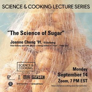 The Science of Sugar