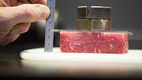 Ruler measuring a piece of meat