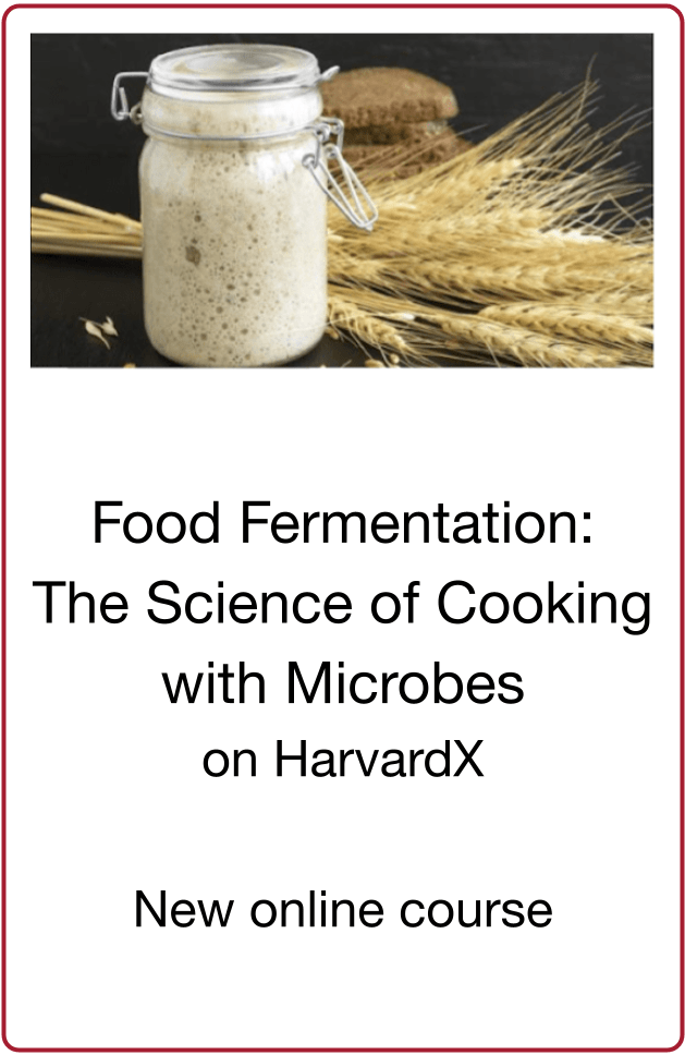 Food Fermentation: The Science of Cooking with Microbes on HarvardX, New online course